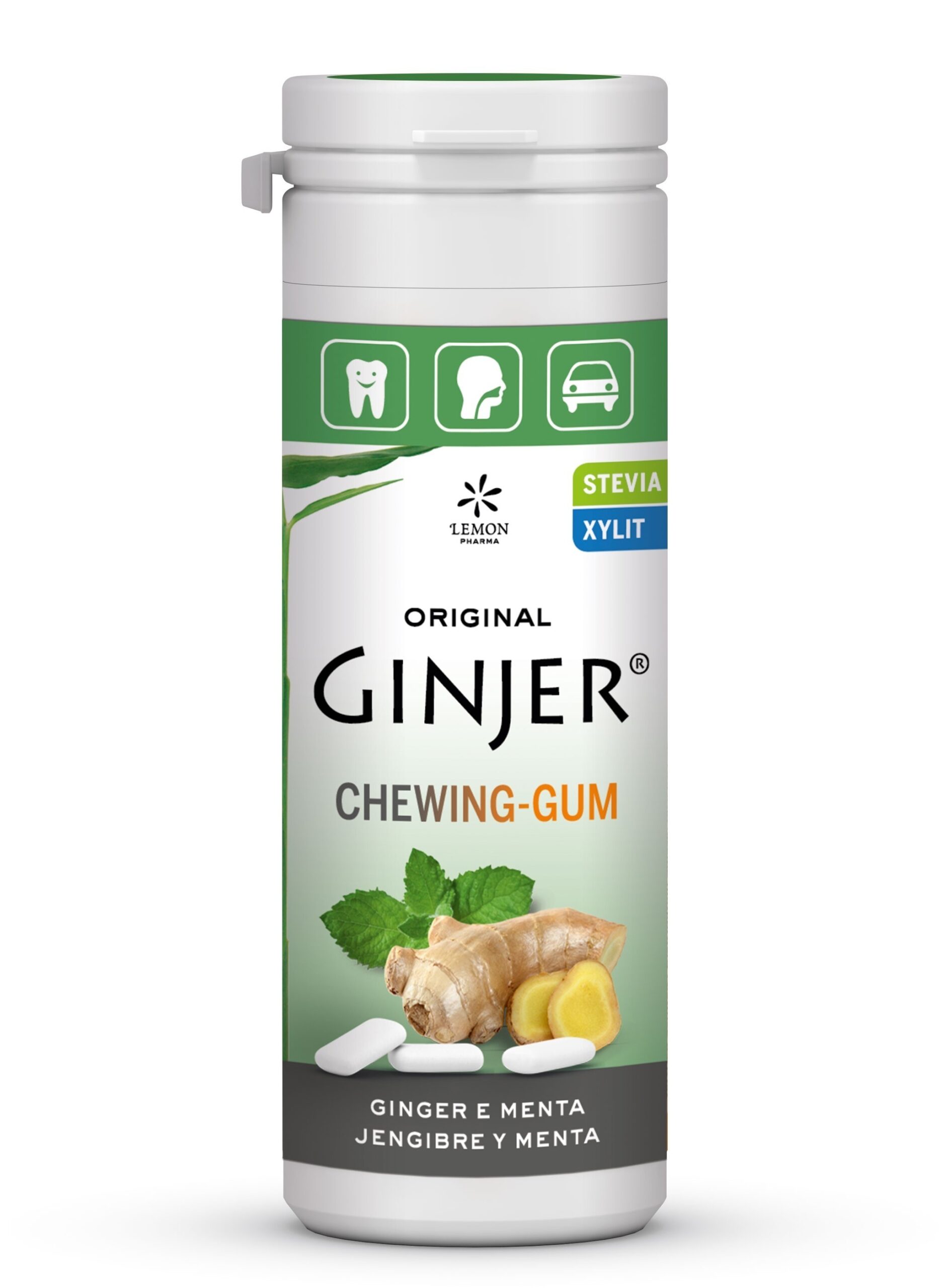 GINJER CHICLES MENTA