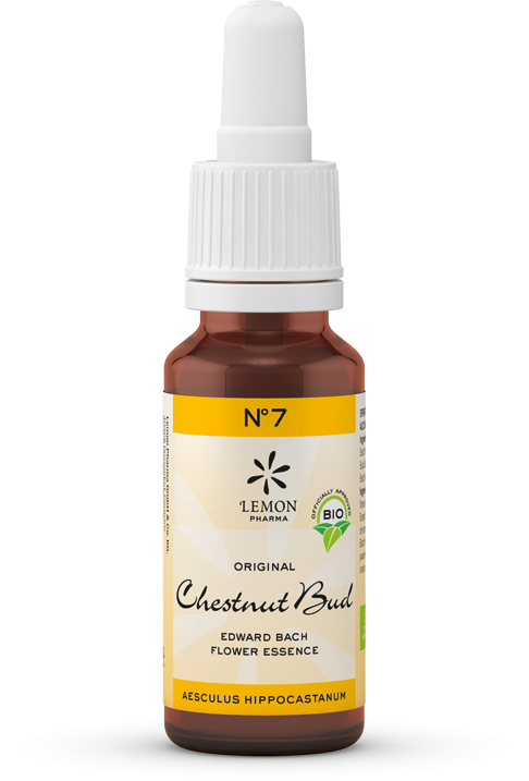 GOTAS BIO BACH CHESTNUT BUD Nº7 20 ML