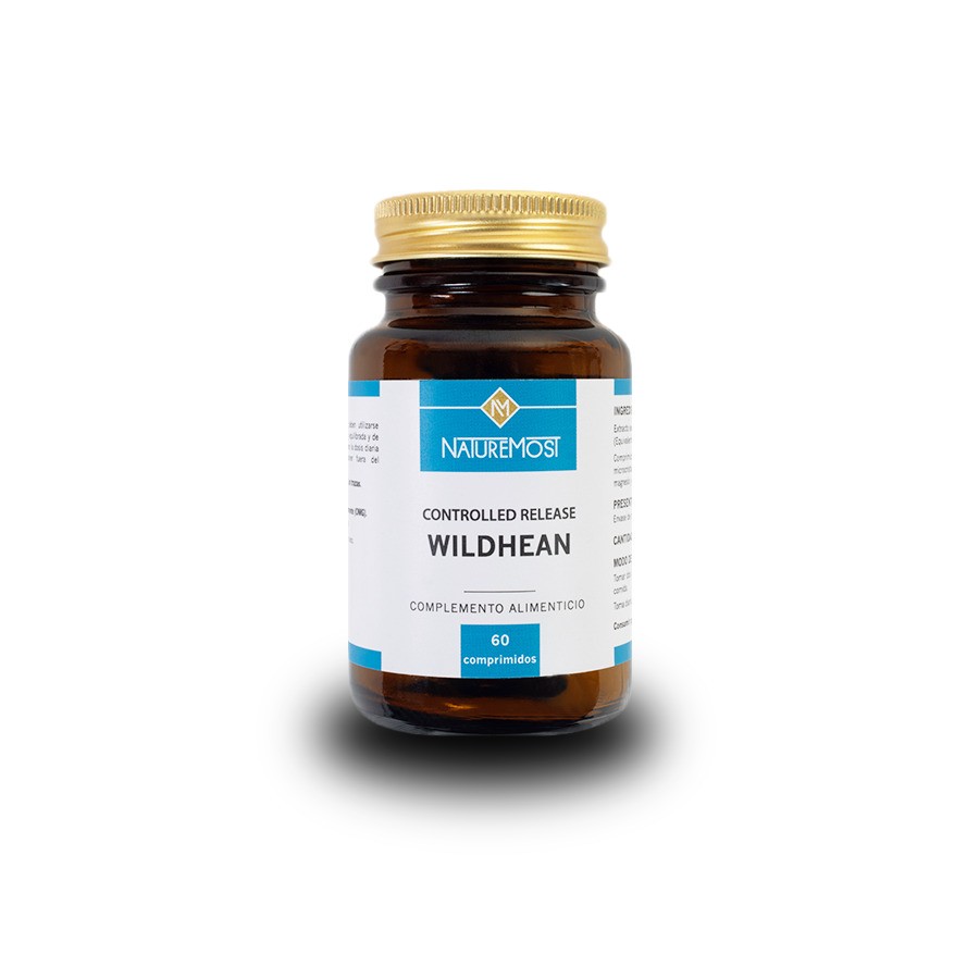 WILDHEAN CONTROLLED RELEASE 60 COMPRIMIDOS