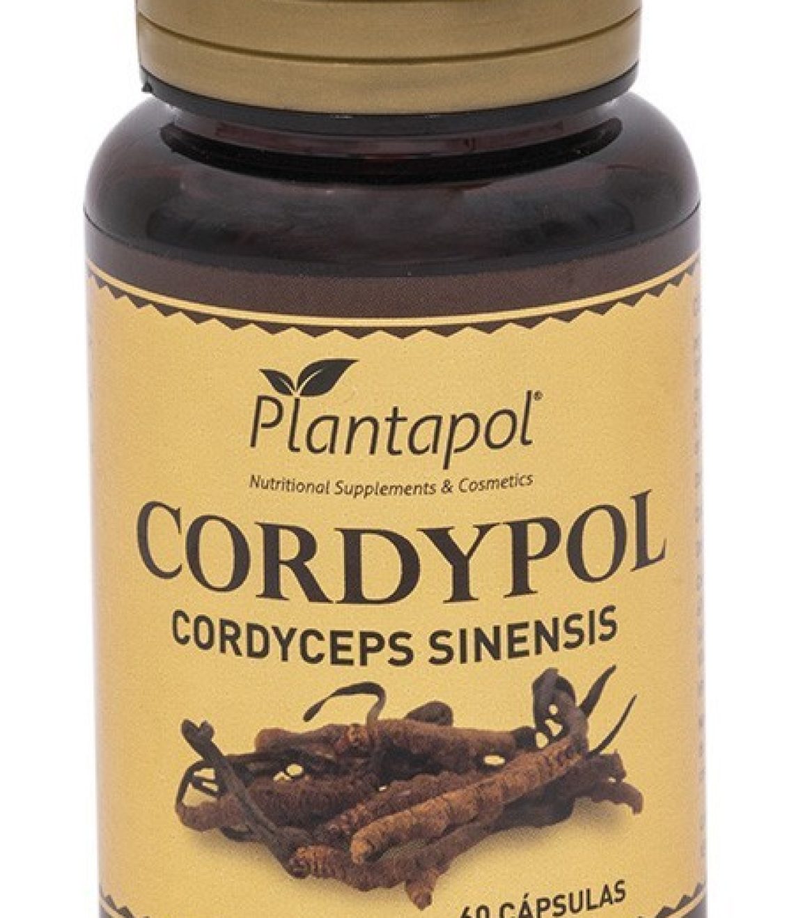 cordypol