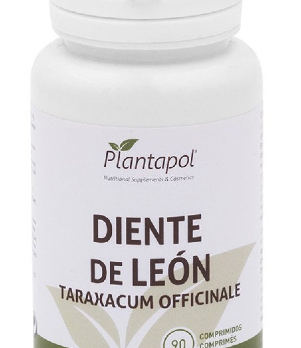 diente-de-leon-plantapol