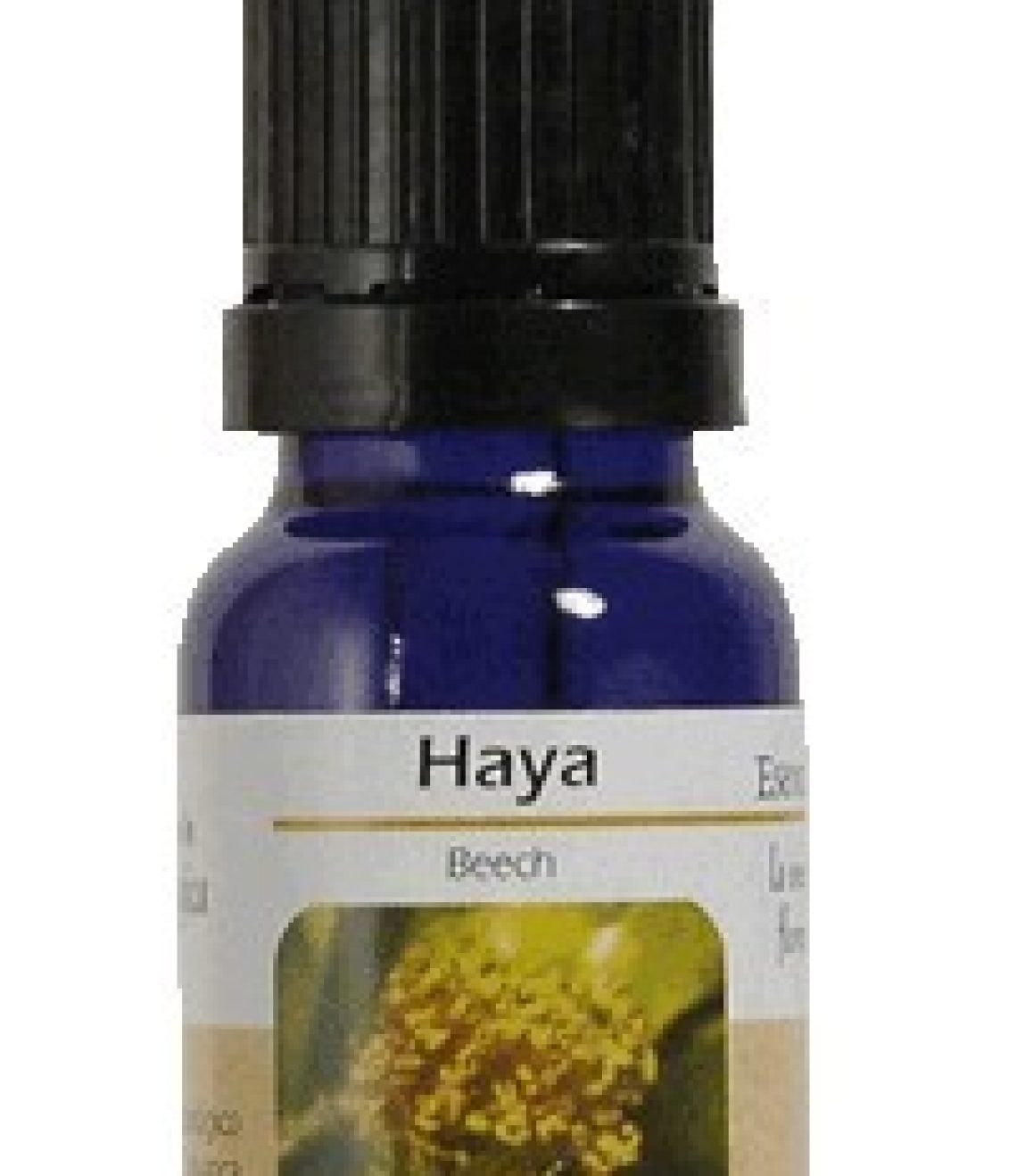 esencia-de-beech-haya-ba21