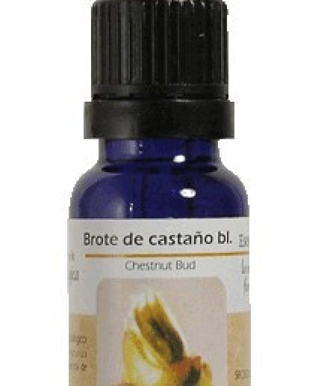 esencia-de-chestnut-bud-brote-castao-blanco-ba10