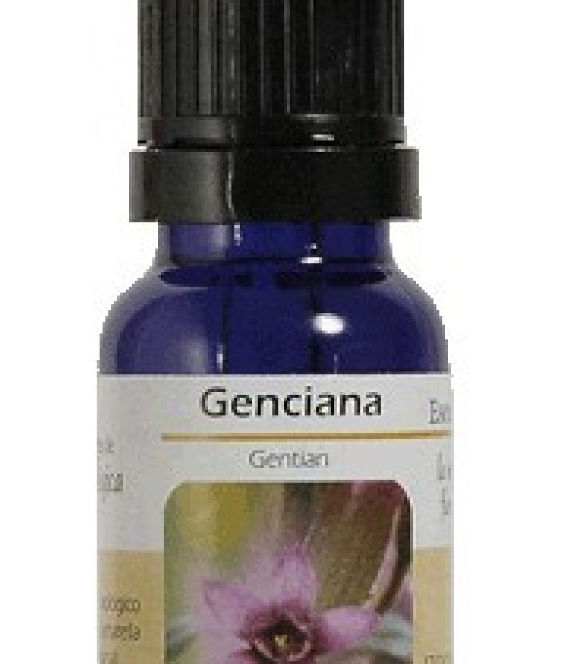 esencia-de-gentian-genciana-ba20