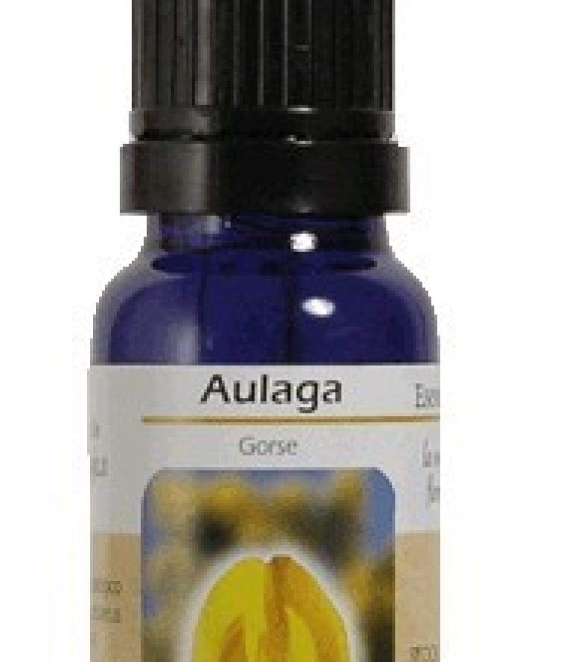 esencia-de-gorce-aulaga-ba07