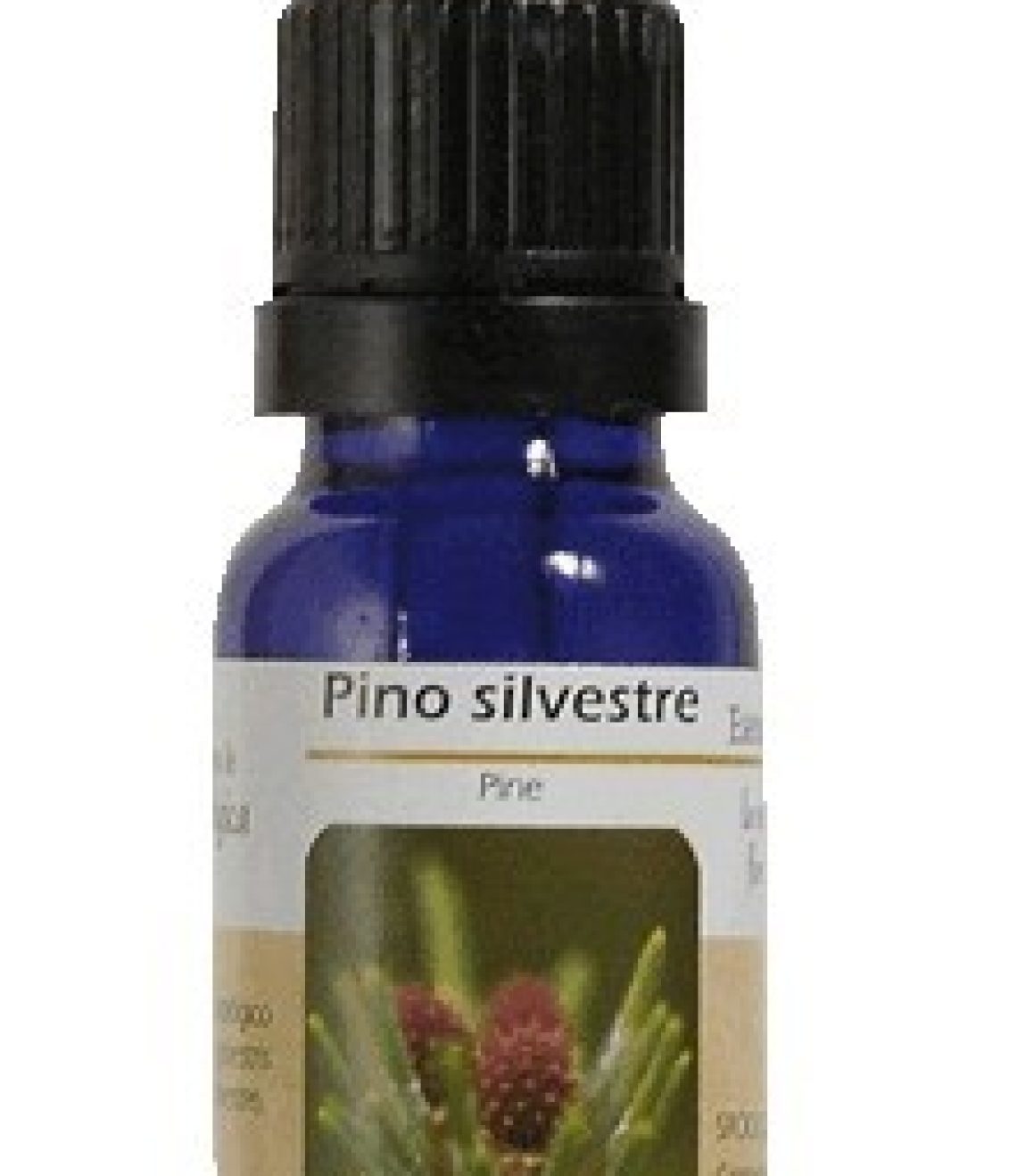 esencia-de-pine-pino-ba32