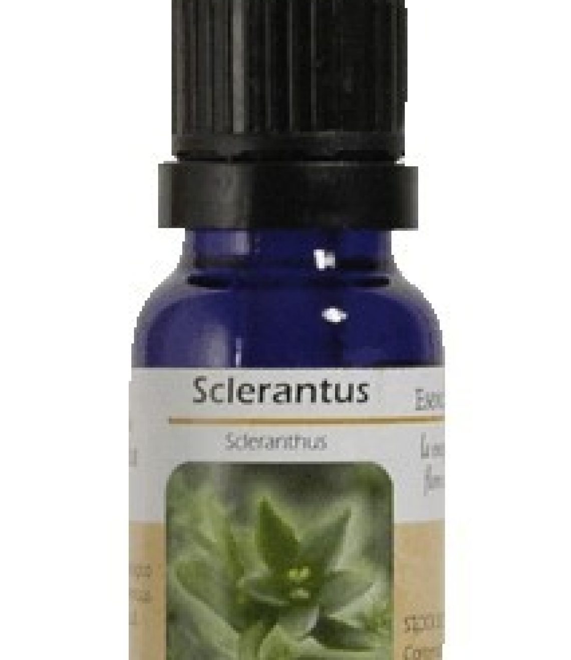 esencia-de-sclerantus-ba35