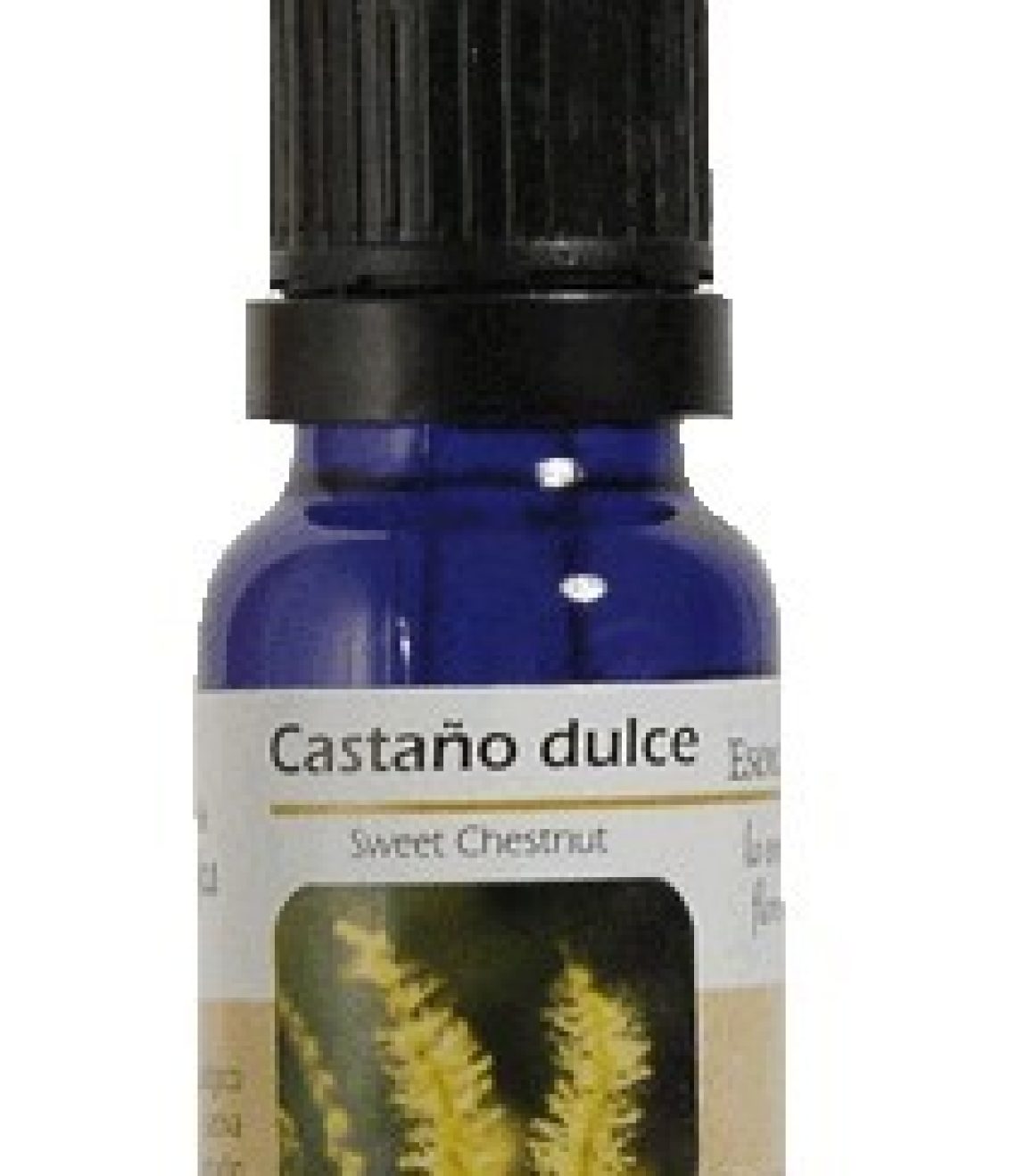esencia-de-sweet-chestnut-castao-dulce-ba12