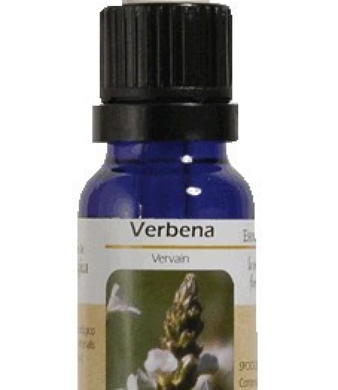 esencia-de-vervain-verbena-ba36