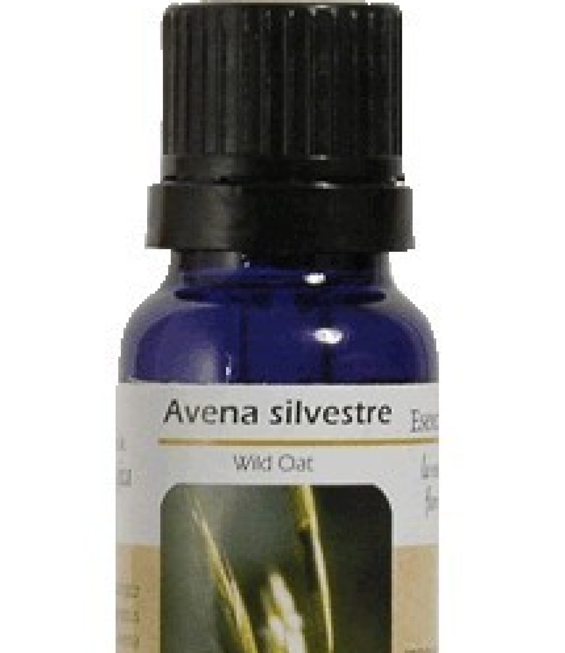 esencia-de-wild-oat-avena-silvestre-bromo-ba08
