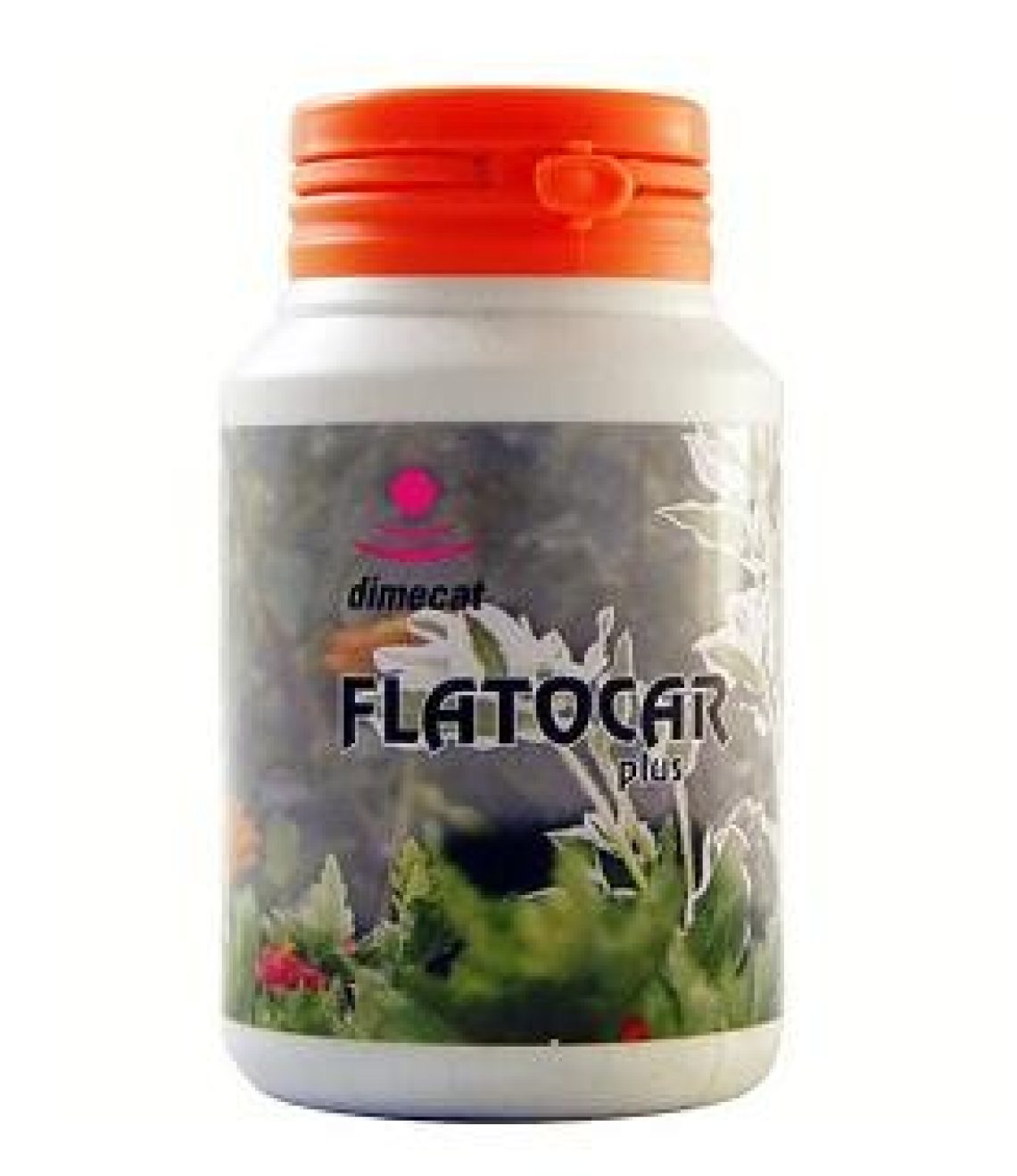 flatocar-plus