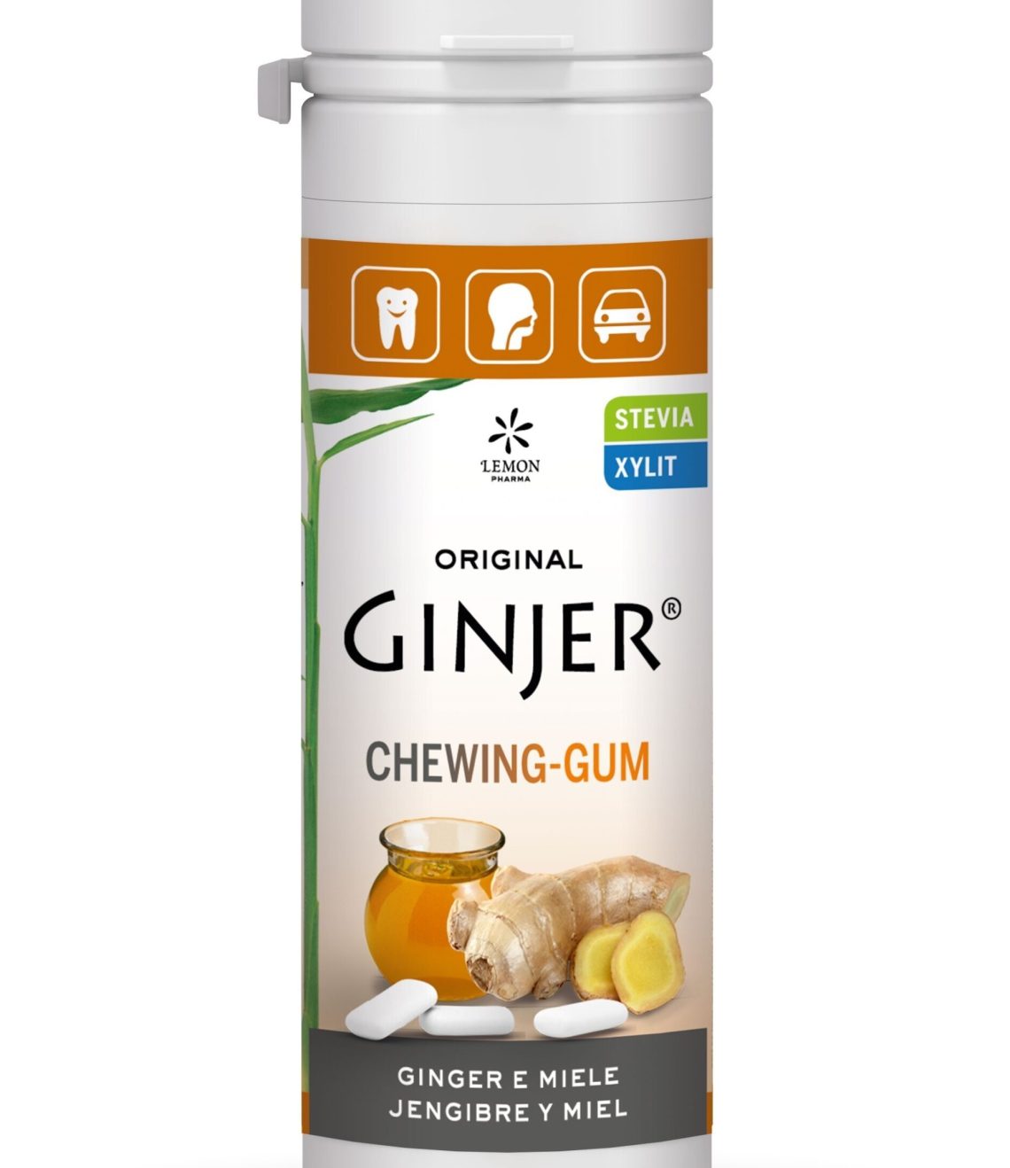 ginjer-chicles-miel