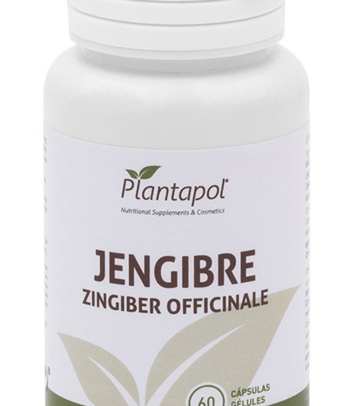 jengibre-60-x-600-mg-plantapol