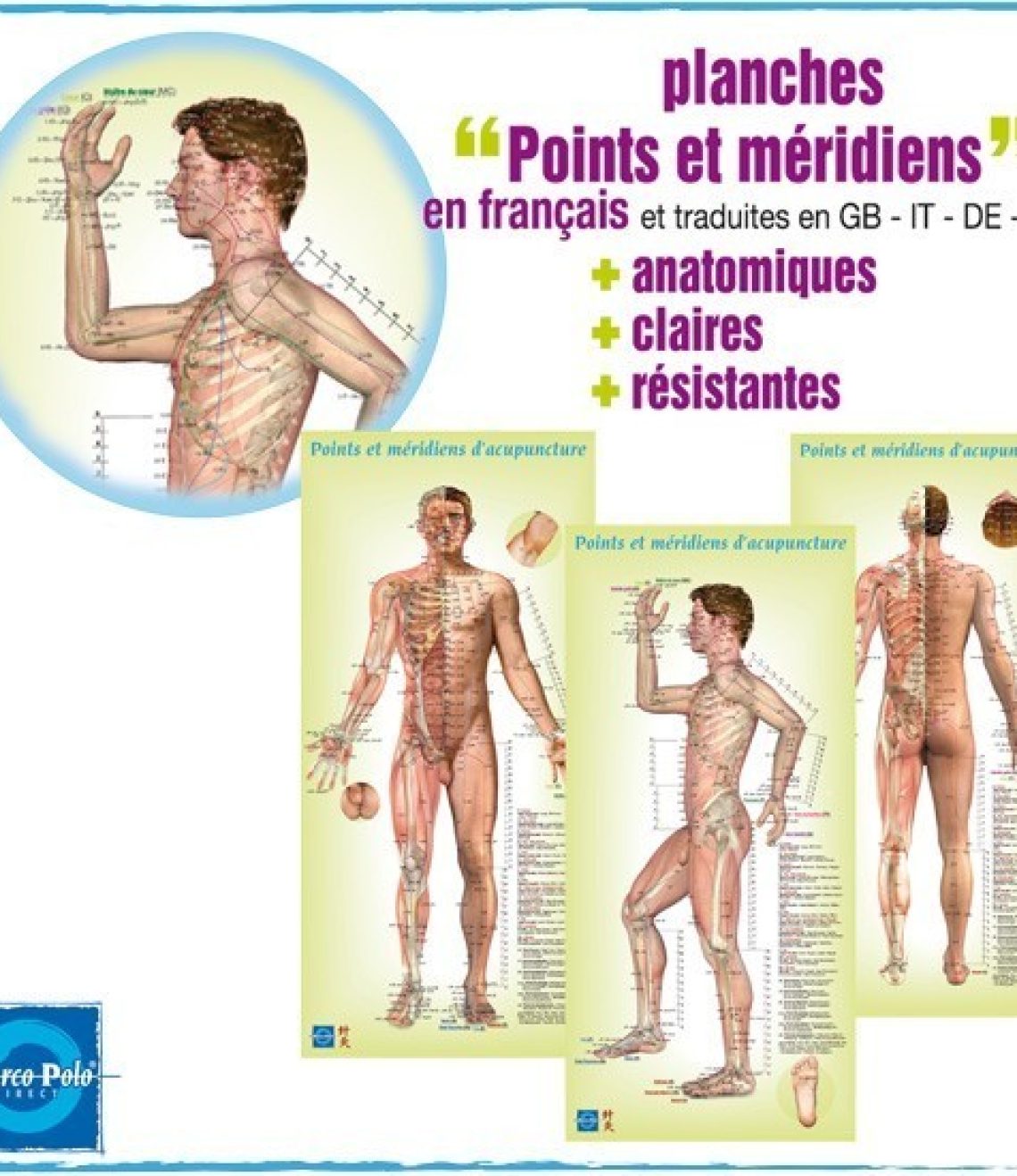 lamina-acupuntura-hombre