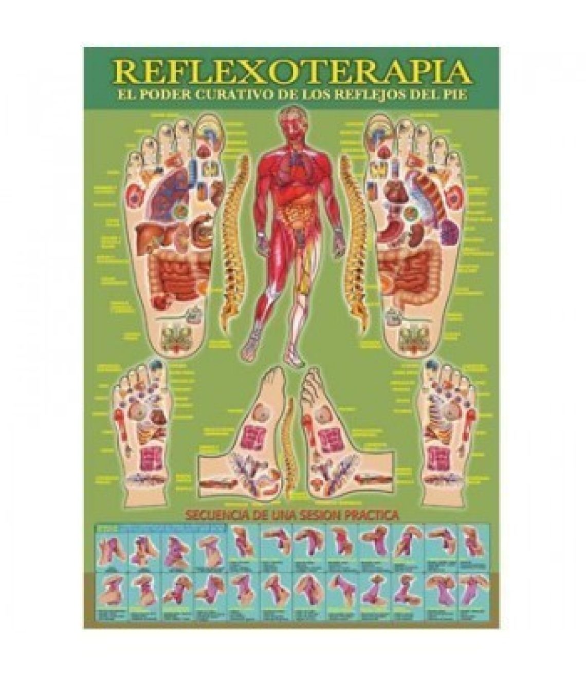 lamina-de-reflexologia