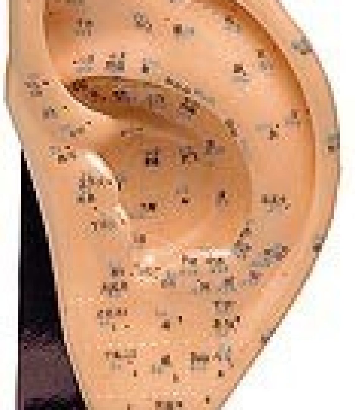 modelo-anatomico-oreja-silicona-22-cm