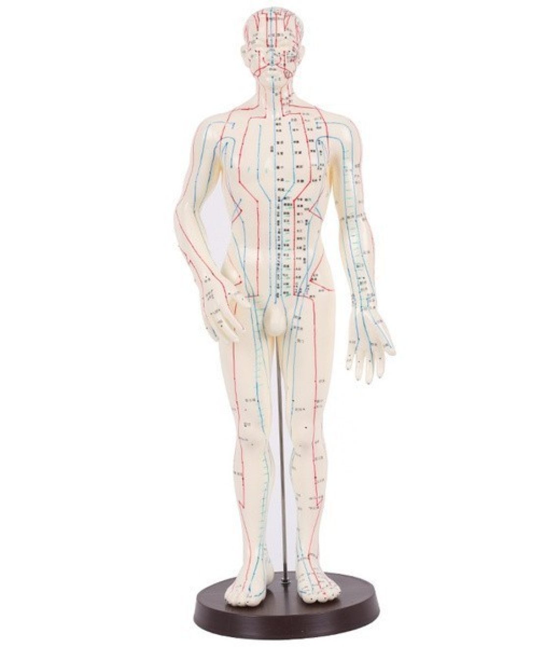 modelo-para-acupuntura-hombre-51cm