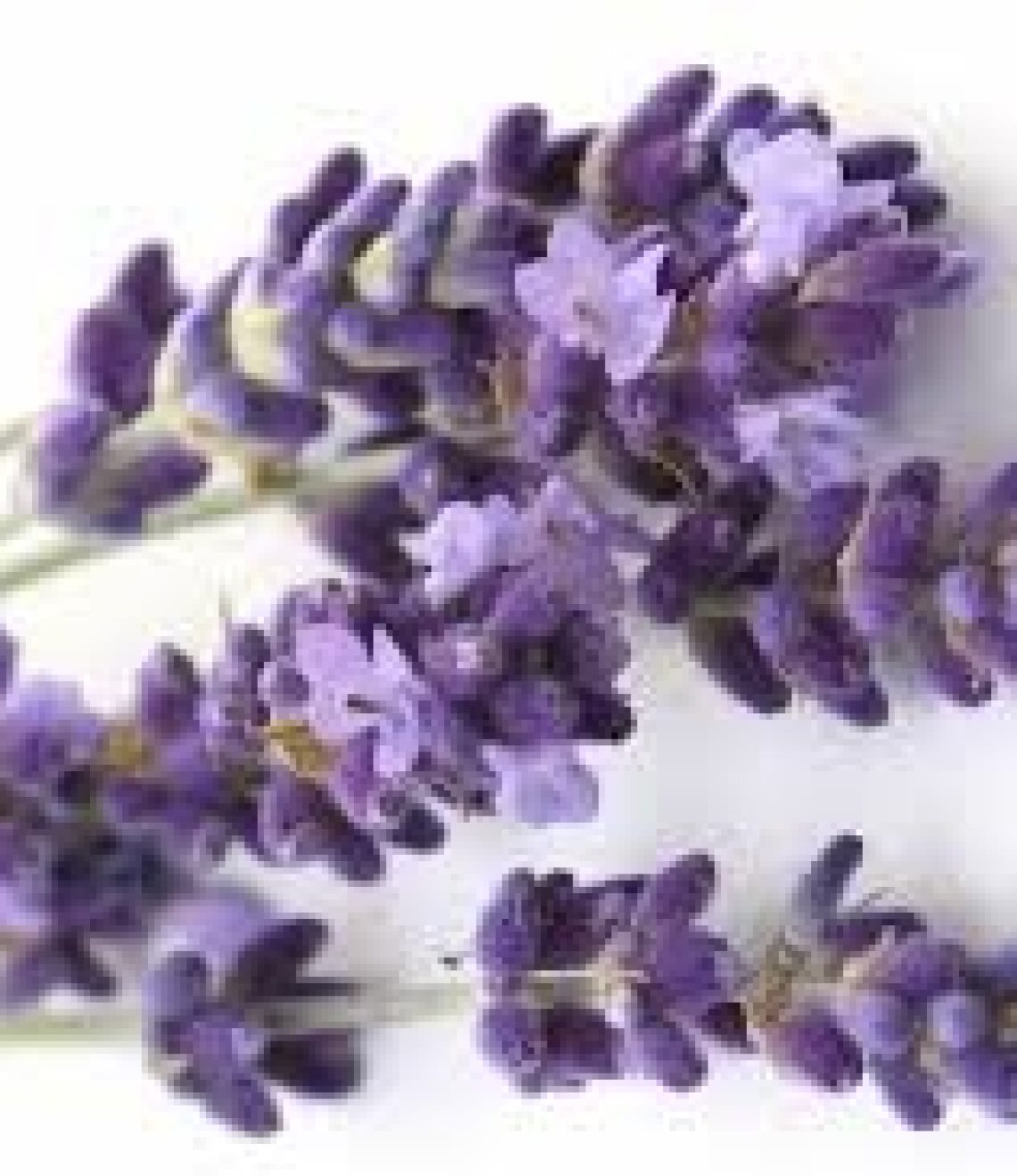 sales-de-bao-de-lavanda