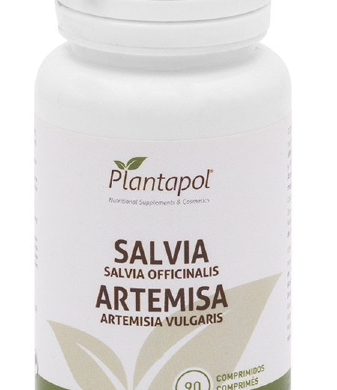 salvia-artemisa-plantapol