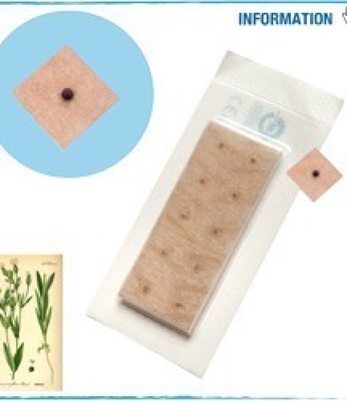 semilla-auriculares-con-adhesivo-carne-100-uni