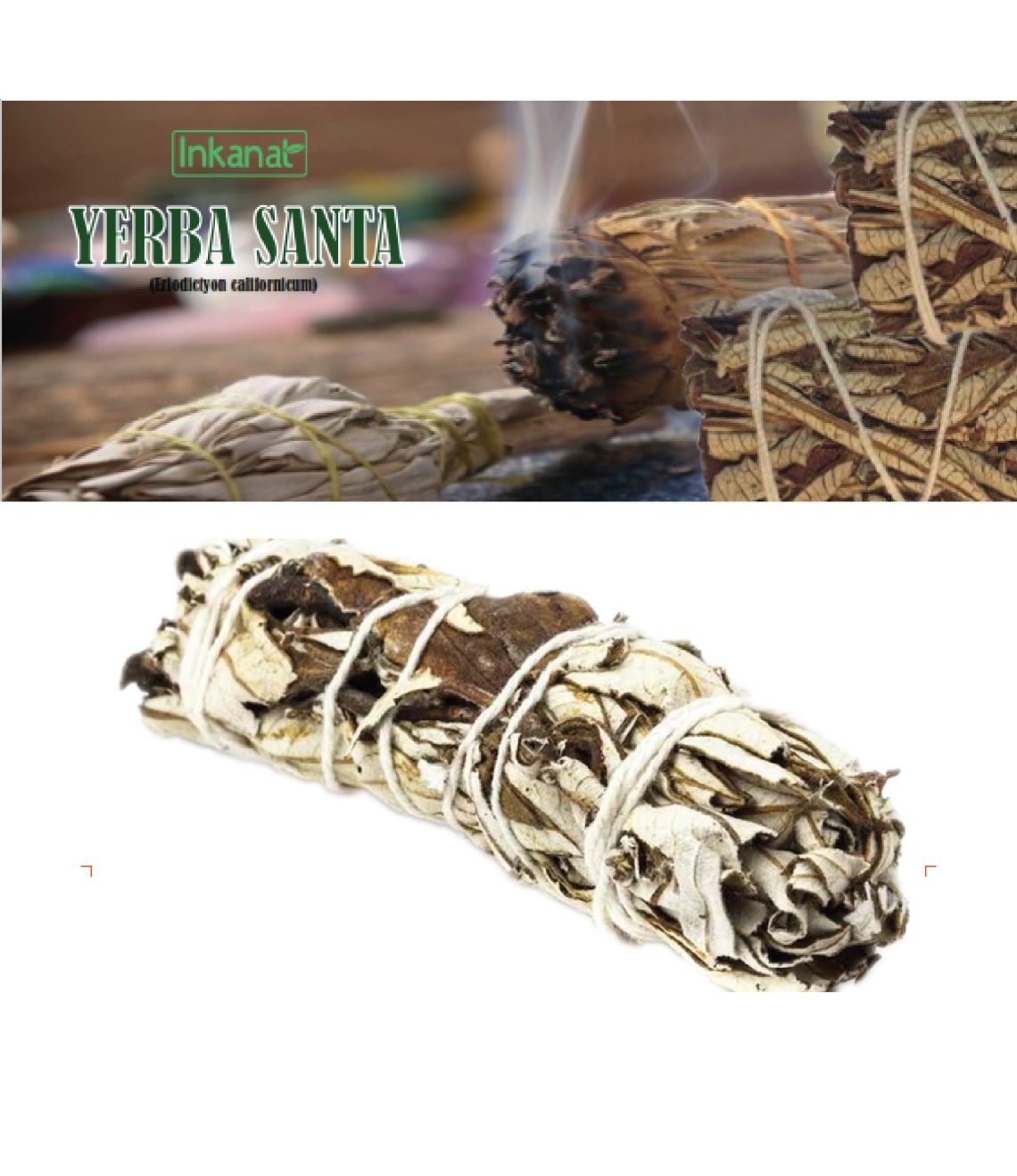 yerba-santa-atado-10-cm-peru-inkanat